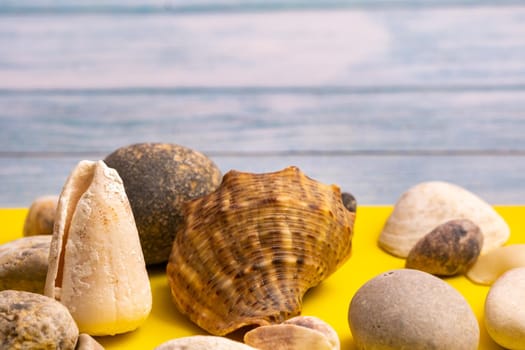 stones and shells on a blue wooden background and a yellow background.Marine theme.