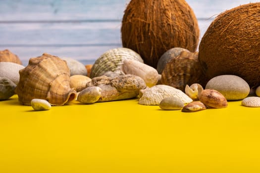 Coconuts, rocks and shells on a blue wooden background and a yellow background.Marine theme.