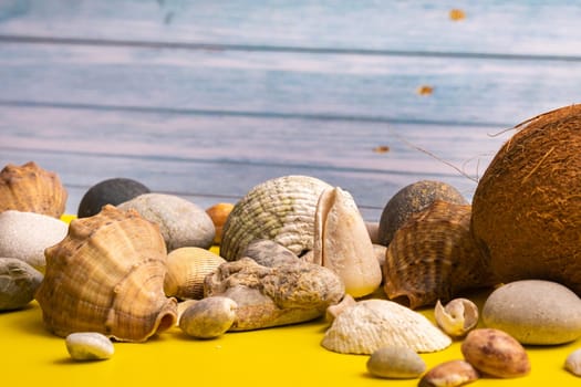 Coconuts, rocks and shells on a blue wooden background and a yellow background.Marine theme.