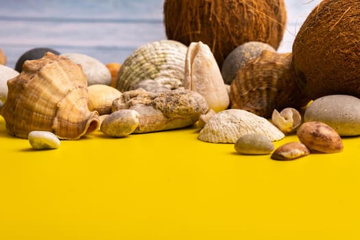 Coconuts, rocks and shells on a blue wooden background and a yellow background.Marine theme.