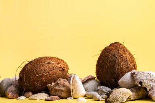 Coconuts, rocks and shells on a yellow background .Marine theme.