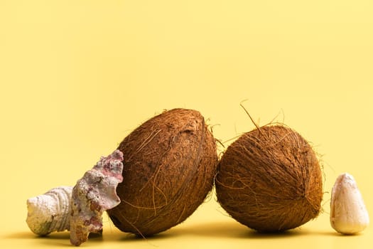 Whole Coconuts and shells on a yellow background .Marine theme.