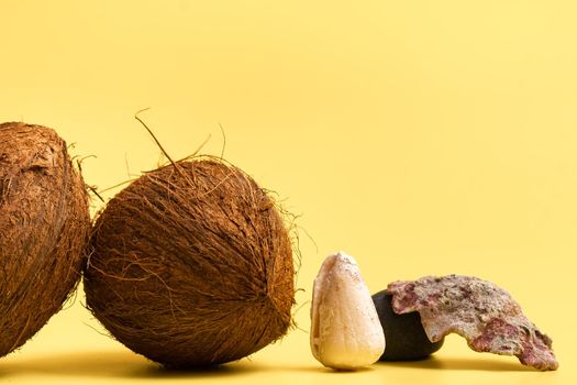 Whole Coconuts and shells on a yellow background .Marine theme.