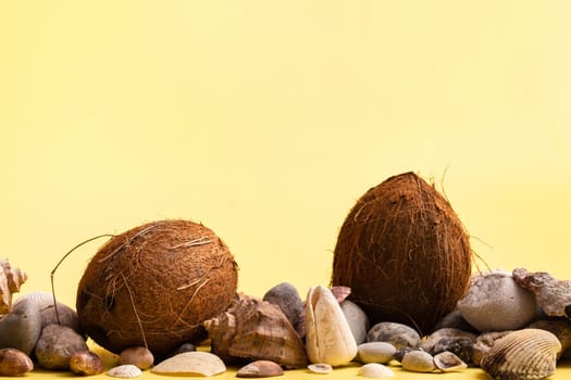 Coconuts, rocks and shells on a yellow background .Marine theme.