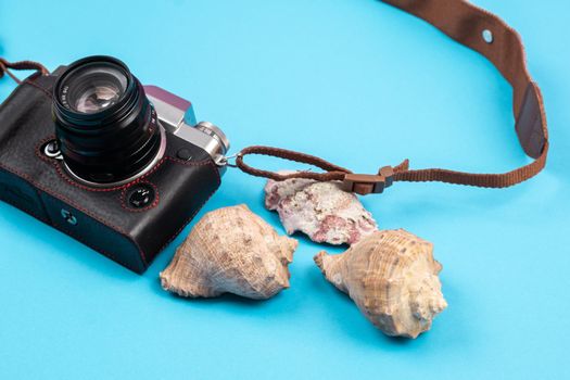 camera and seashells on a blue background.Background for the traveler.
