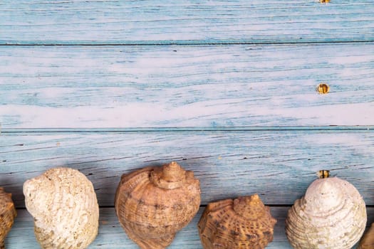seashells on a blue wooden background.Marine theme.