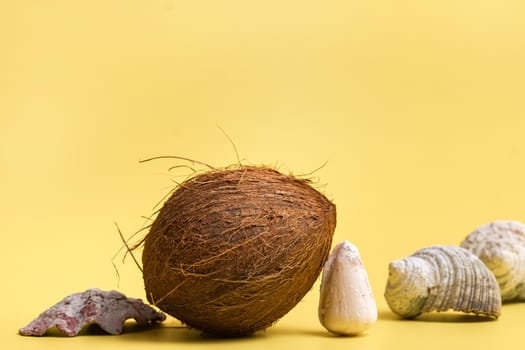 Whole Coconuts and shells on a yellow background .Marine theme.