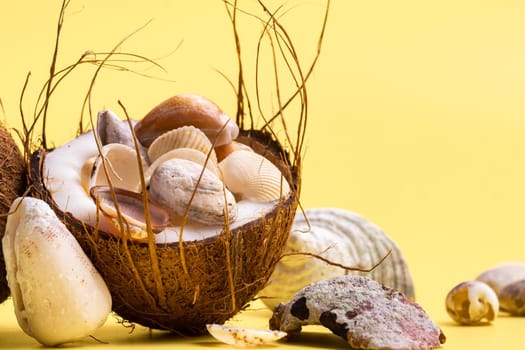 coconuts and shells on a yellow background .Marine theme.