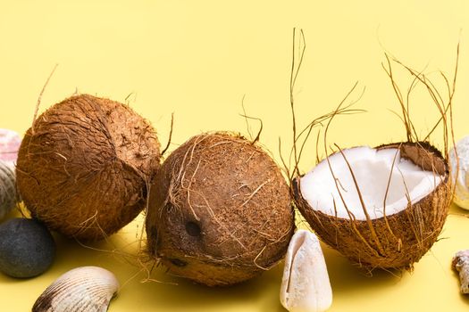 coconuts and shells on a yellow background .Marine theme.