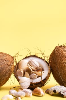 coconuts and shells on a yellow background .Marine theme.