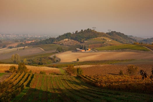 Vineyards in the Tortona hills at sunset during the autumn season
