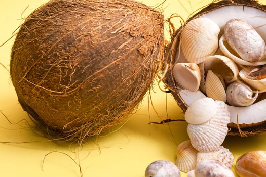 coconuts and shells on a yellow background .Marine theme.