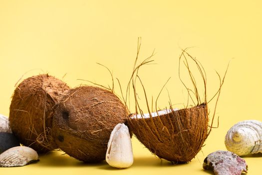 coconuts and shells on a yellow background .Marine theme.