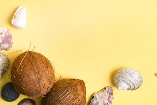 Whole Coconuts and shells on a yellow background .Marine theme.