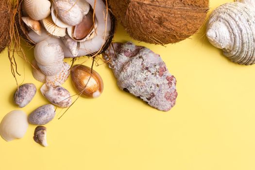 coconuts and shells on a yellow background .Marine theme.