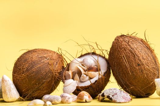 coconuts and shells on a yellow background .Marine theme.