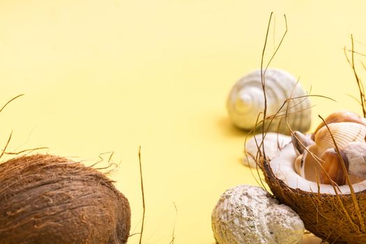 coconuts and shells on a yellow background .Marine theme.