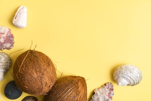 Whole Coconuts and shells on a yellow background .Marine theme.