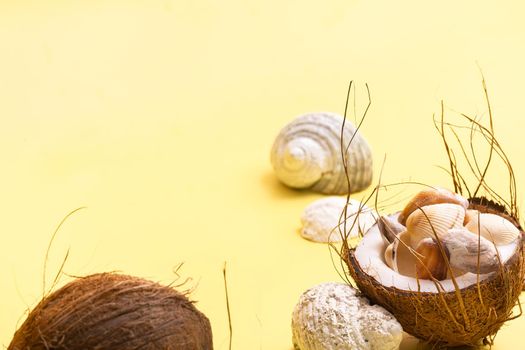 coconuts and shells on a yellow background .Marine theme.