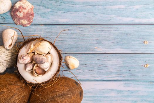 coconuts and seashells on a blue wooden background .Marine theme.