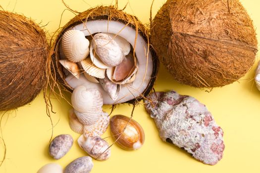 coconuts and shells on a yellow background .Marine theme.