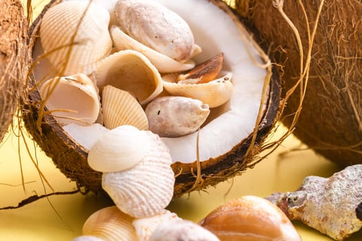 coconuts and shells on a yellow background .Marine theme.