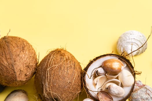 coconuts and shells on a yellow background .Marine theme.