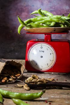 View of fresh and dried broad beans and weight scale in a wooden table