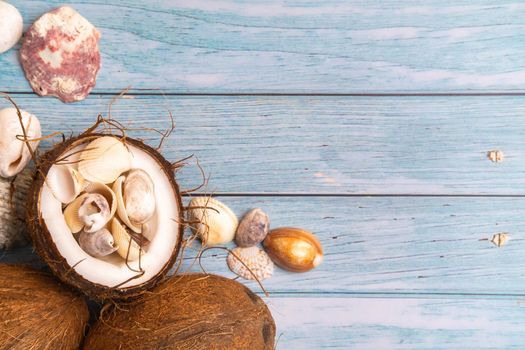 coconuts and seashells on a blue wooden background .Marine theme.