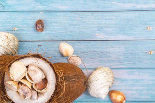 coconuts and seashells on a blue wooden background .Marine theme.