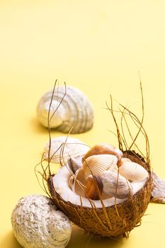 coconuts and shells on a yellow background .Marine theme.