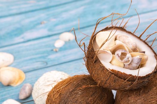 coconuts and seashells on a blue wooden background .Marine theme.