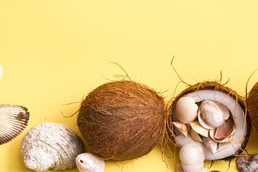 coconuts and shells on a yellow background .Marine theme.