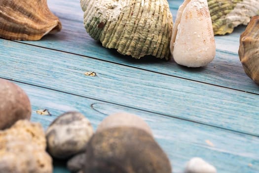 coconuts, rocks and shells on a blue wooden background.Marine theme.