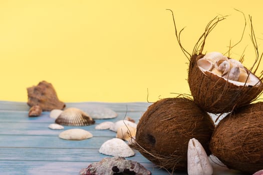 coconuts and shells on a yellow and blue wooden background .Marine theme.