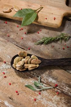 Close up of dried broad beans in the wooden ladle