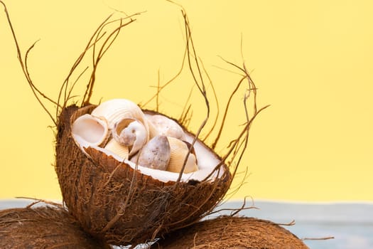 coconuts and shells on a yellow and blue wooden background .Marine theme.