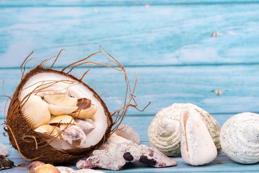 coconuts and seashells on a blue wooden background .Marine theme.