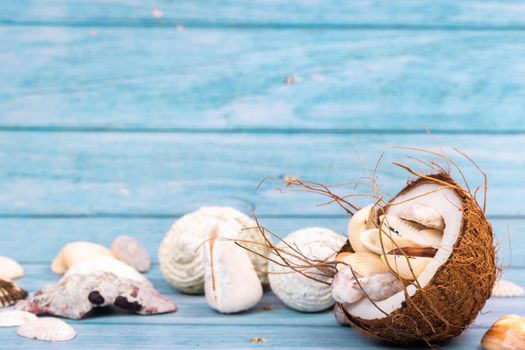 coconuts and seashells on a blue wooden background .Marine theme.