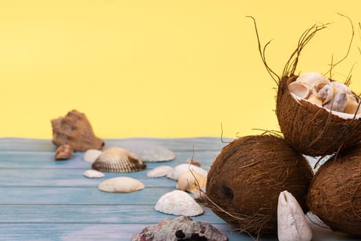 coconuts and shells on a yellow and blue wooden background .Marine theme.