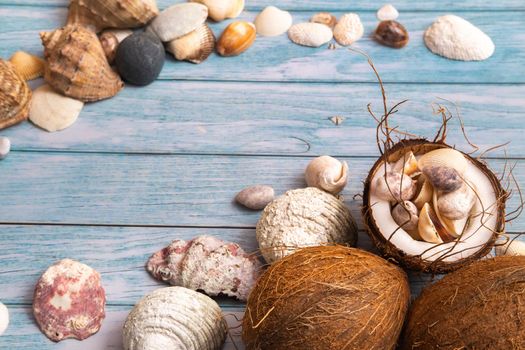 coconuts and seashells on a blue wooden background .Marine theme.