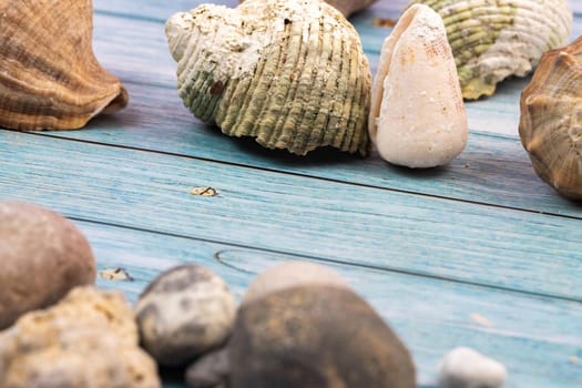 coconuts, rocks and shells on a blue wooden background.Marine theme.