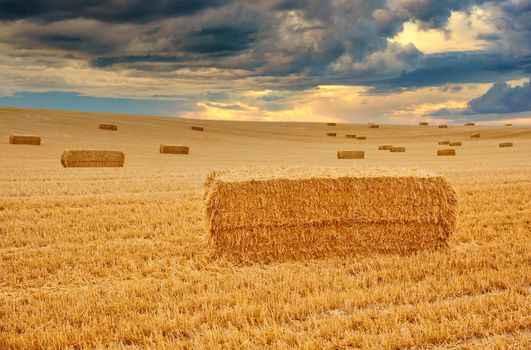 Bales of hay, spanish countryside