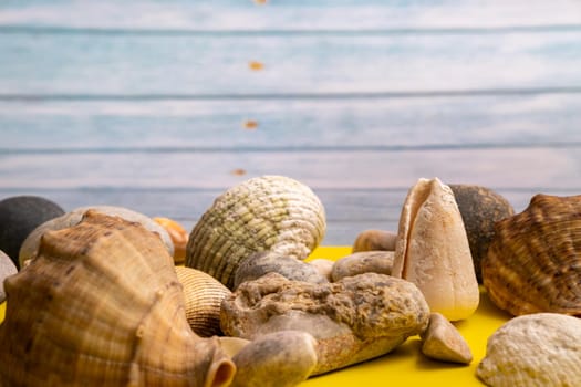 stones and shells on a blue wooden background and a yellow background.Marine theme.