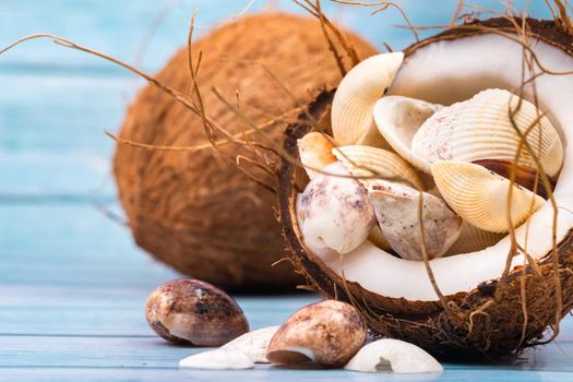 coconuts and seashells on a blue wooden background .Marine theme.