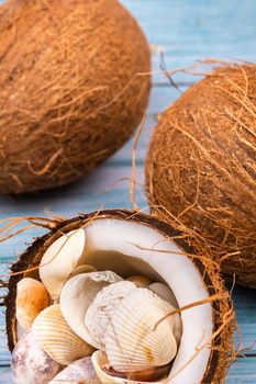 coconuts and seashells on a blue wooden background .Marine theme.