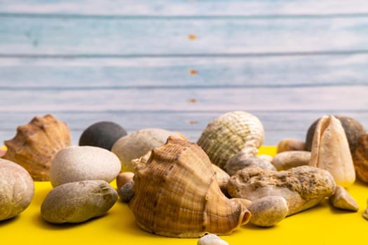 stones and shells on a blue wooden background and a yellow background.Marine theme.