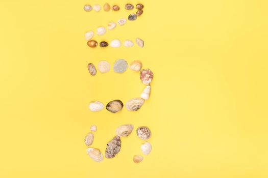 The inscription of the word sun is made of shells on a yellow background.Travel concept.