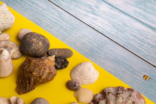 stones and shells on a blue wooden background and a yellow background.Marine theme.