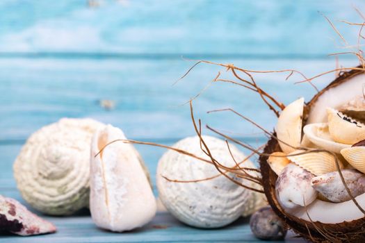 coconuts and seashells on a blue wooden background .Marine theme.